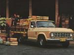 Chevrolet D-10 1979 года